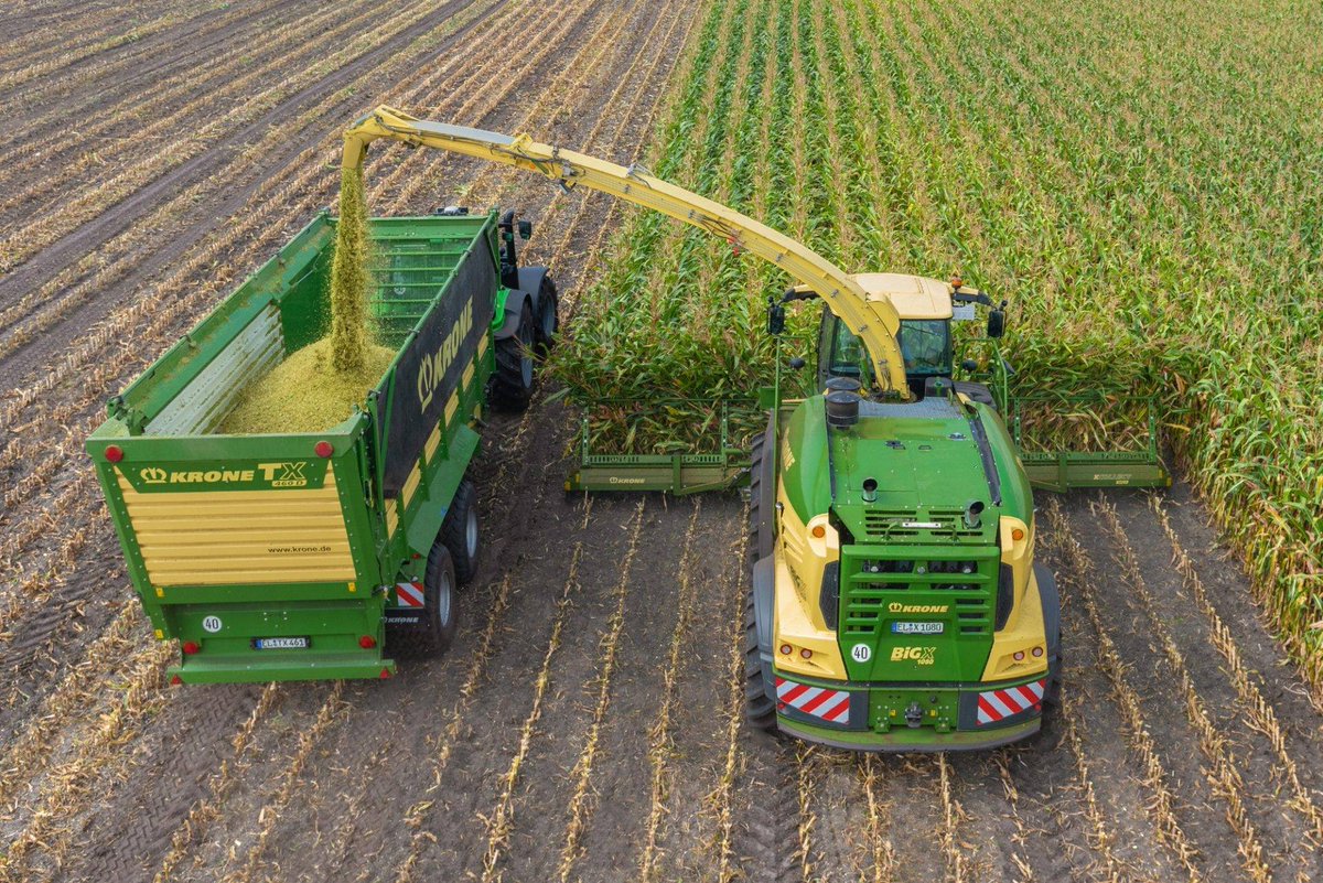 AgriTrade News (@agritradenews) on Twitter photo Nine new varieties have been added to the newly published British Society of Plant Breeders (BSPB)’s 2025 Forage Maize Descriptive Lists (DL). Bright Seeds <a href="/niabgroup/">Niab</a> <a href="/_seedinnovation/">British Society of Plant Breeders (BSPB)</a> <a href="/Grainseed/">Grainseed</a> <a href="/KWSUKLtd/">KWS UK Ltd</a> <a href="/LGSeedsUK/">LGSeedsUK</a> <a href="/ragtseedsuk/">RAGT Seeds UK</a>
bit.ly/4gyNzqk Nine new varieties have been added to the newly published British Society of Plant Breeders (BSPB)’s 2025 Forage Maize Descriptive Lists (DL). Bright Seeds <a href="/niabgroup/">Niab</a> <a href="/_seedinnovation/">British Society of Plant Breeders (BSPB)</a> <a href="/Grainseed/">Grainseed</a> <a href="/KWSUKLtd/">KWS UK Ltd</a> <a href="/LGSeedsUK/">LGSeedsUK</a> <a href="/ragtseedsuk/">RAGT Seeds UK</a>
bit.ly/4gyNzqk