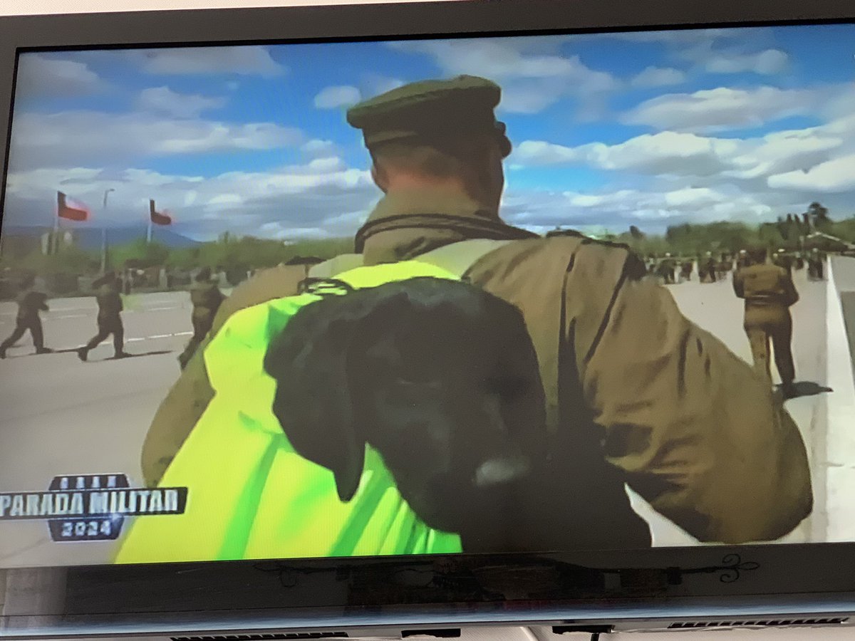 s_vitalia's tweet image. Dios mío, que hermoso…😍🇨🇱💚
#ParadaMilitar2024 
#EjércitodeChile
#214Años 
#GloriasDelEjército #ParadaMilitar2024 
#chile
#iquique