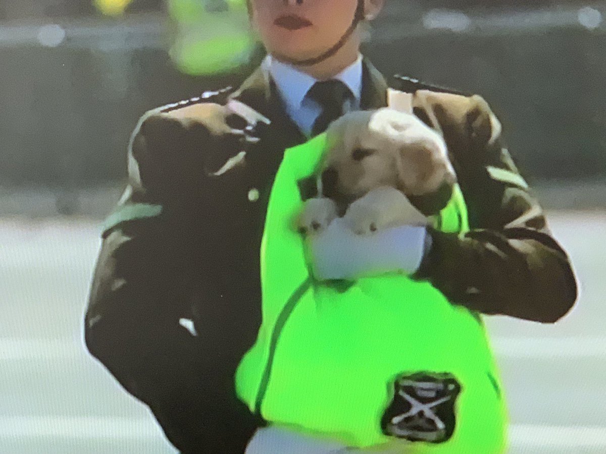 s_vitalia's tweet image. Dios mío, que hermoso…😍🇨🇱💚
#ParadaMilitar2024 
#EjércitodeChile
#214Años 
#GloriasDelEjército #ParadaMilitar2024 
#chile
#iquique