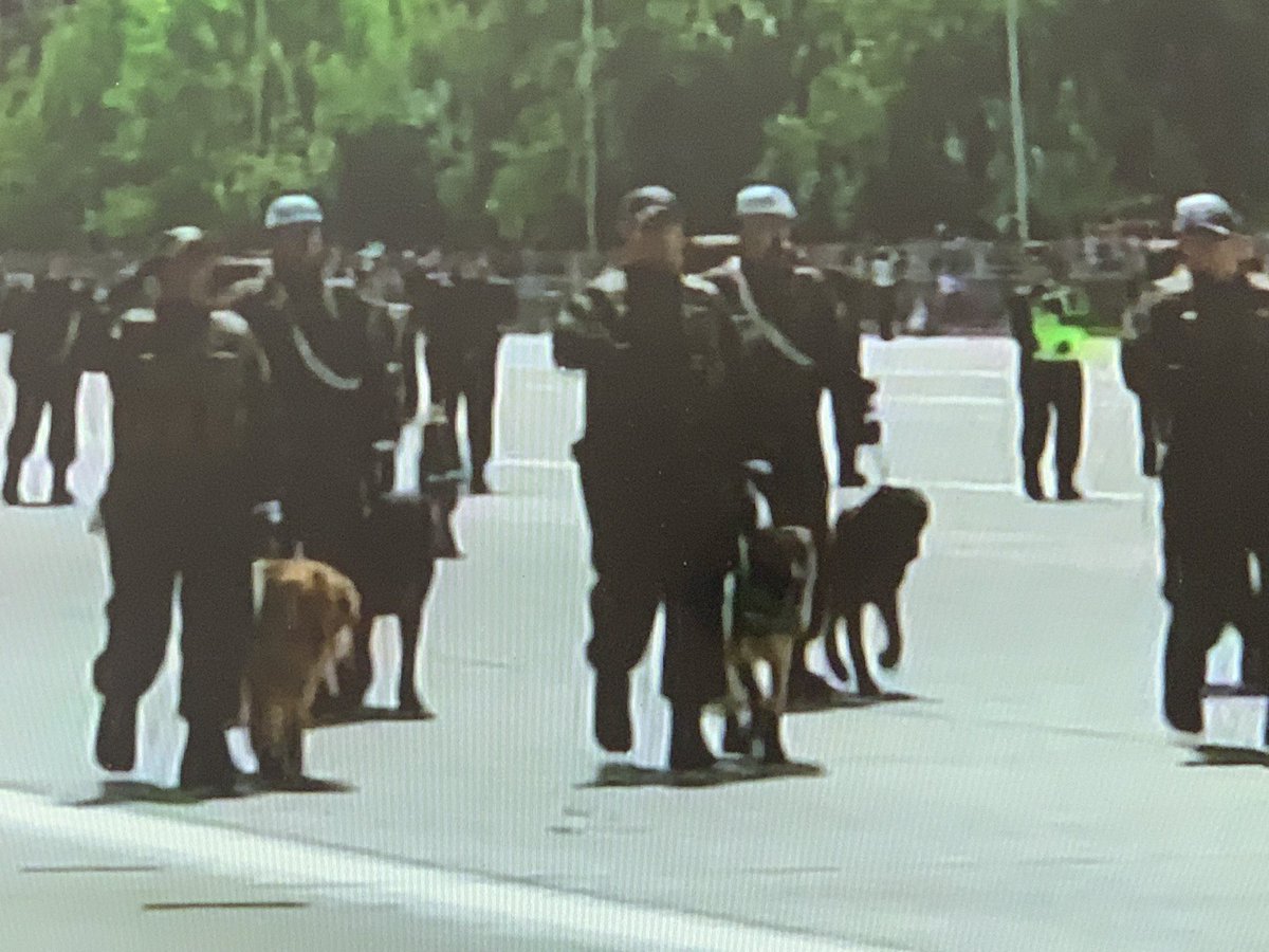 s_vitalia's tweet image. Dios mío, que hermoso…😍🇨🇱💚
#ParadaMilitar2024 
#EjércitodeChile
#214Años 
#GloriasDelEjército #ParadaMilitar2024 
#chile
#iquique