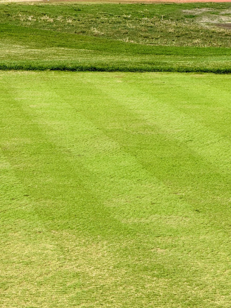 Stephen Roseberry tweet media