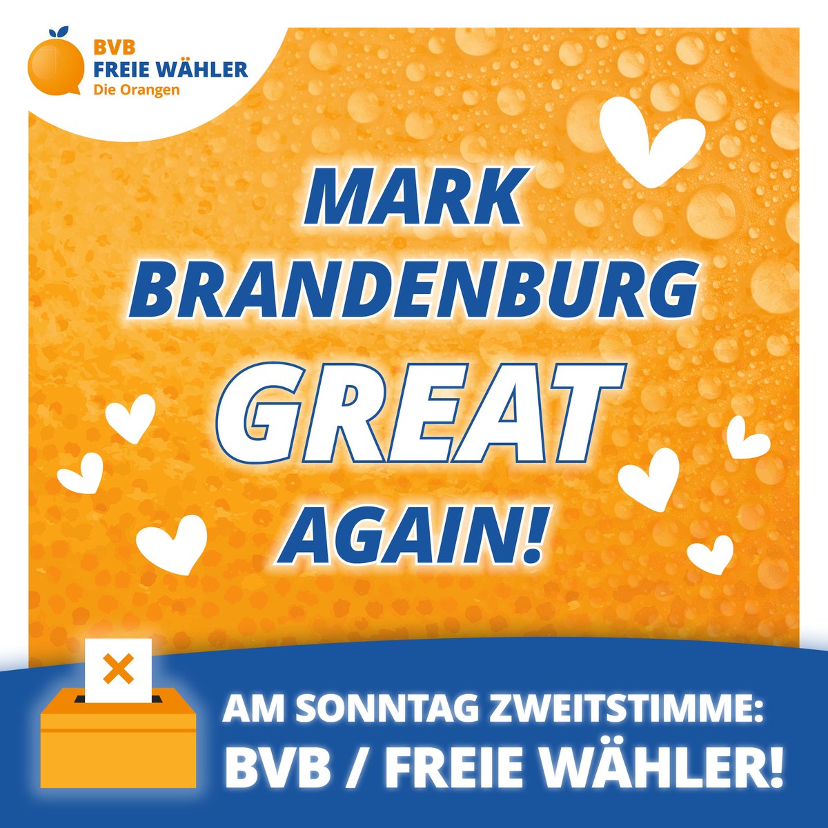 BVB / Freie Wähler tweet media