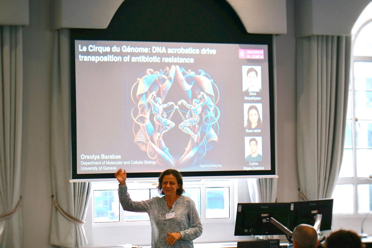 A fascinating talk from Orsolya Barabas of the University of Geneva. Introducing conjugative transposons and their role in antibiotic resistance
<a href="/UNIGEnews/">Université de Genève</a> #antibioticresistance #transposons