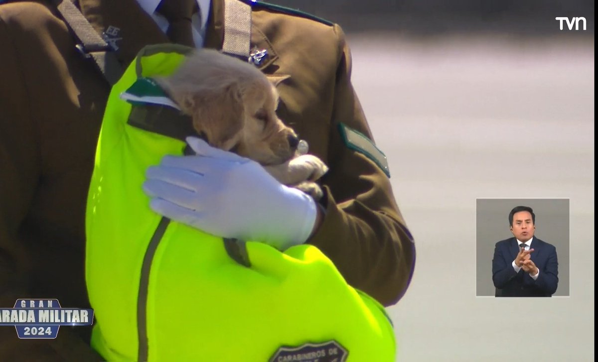 Kari dracarys ❤️‍🔥🐉 tweet media