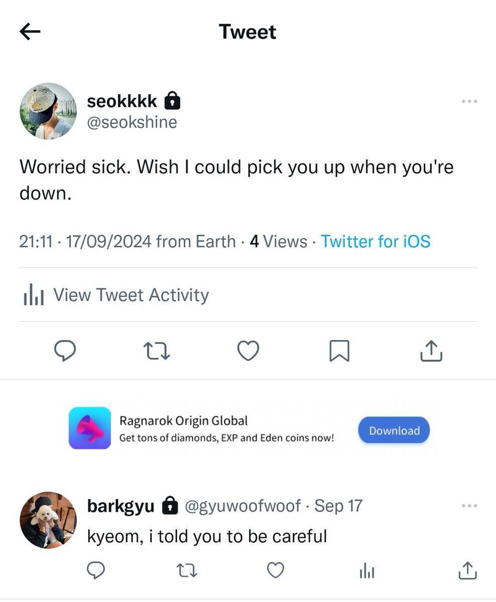 daisies tweet media