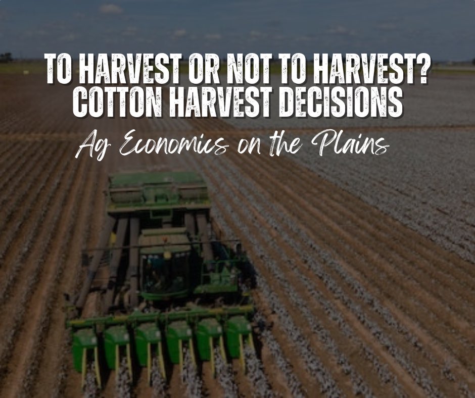 Today, we look at the decision to harvest low-yielding fields and discuss the costs and benefits of doing so.  We also present a tool to help producers evaluate the profitability of harvesting cotton from low-yielding fields.

agrilife.org/agecon/to-harv…