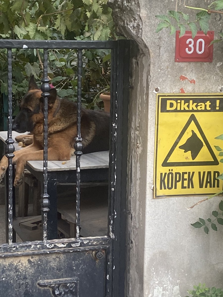 30 numaranın koruyucusu