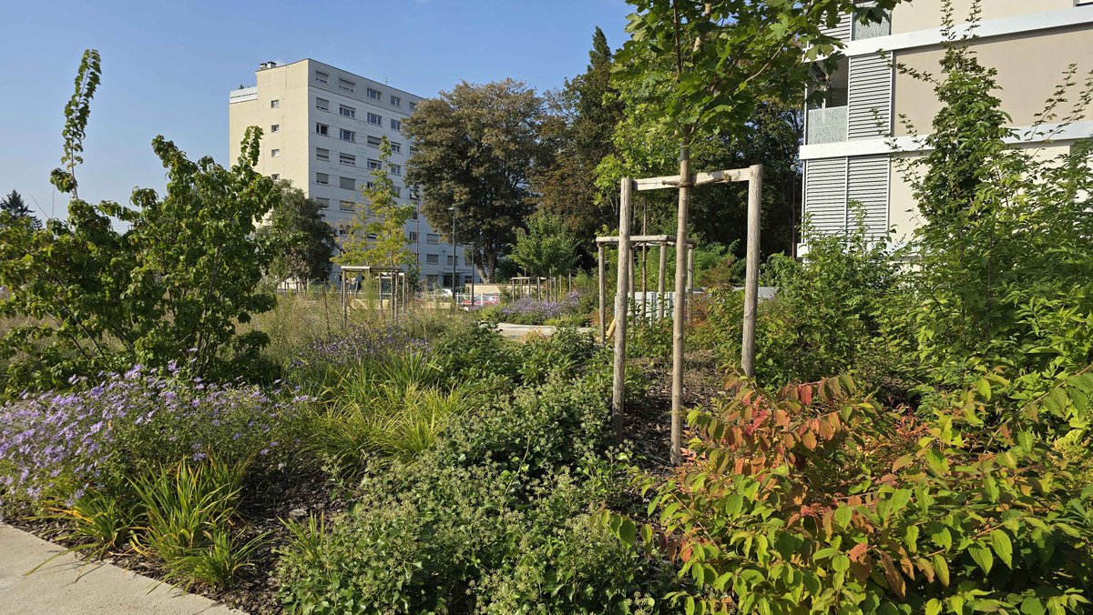 mnguyen_aec's tweet photo. 🏘Cette #inauguration a également été l'occasion de rendre hommage à un pan important de l'histoire industrielle de la ville, en présentant un vitrail de l'ancien site de l'entreprise Caddie auparavant installée sur cet emplacement 📗 #Schiltigheim #EspaceVert #NatureEnVille https://t.co/OSZk4BWXAe