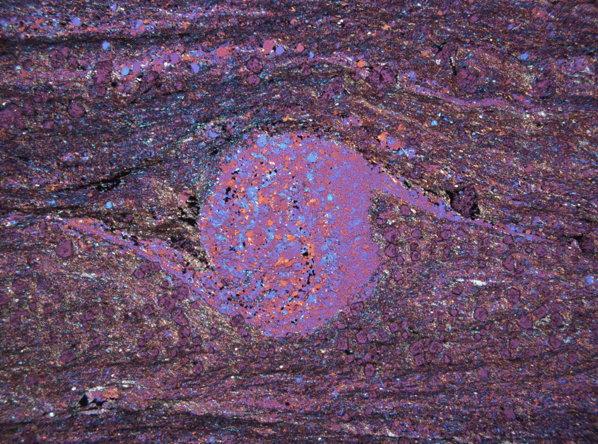 #thinsectionthursday here’s an (ultra)mylonite with sick delta porphyroclasts and folded monomineralic layers. At the outcrop I thought I was sampling a sheared quartzofeldspathic dyklet but the mineral assemblage says otherwise. Dark layers are full of amph, grt, bt, fsp. 😁😱