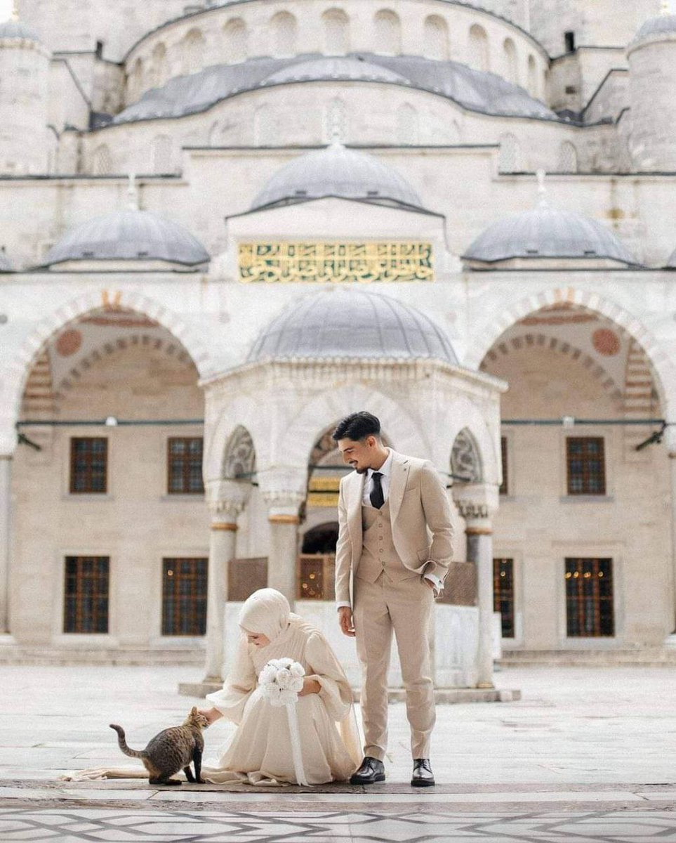 كل واحد بيبص على قطته.🤭🤎🤎🤎🤎🤎🤎🤎🤎🤎🤎🤎🤎🤎🤎🤎🤎🤎🤎🤎🤎🤎🫶🏻>>>