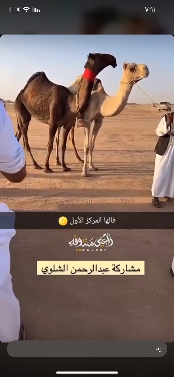 عيضه الشلوي (@edahalshalawi) on Twitter photo 