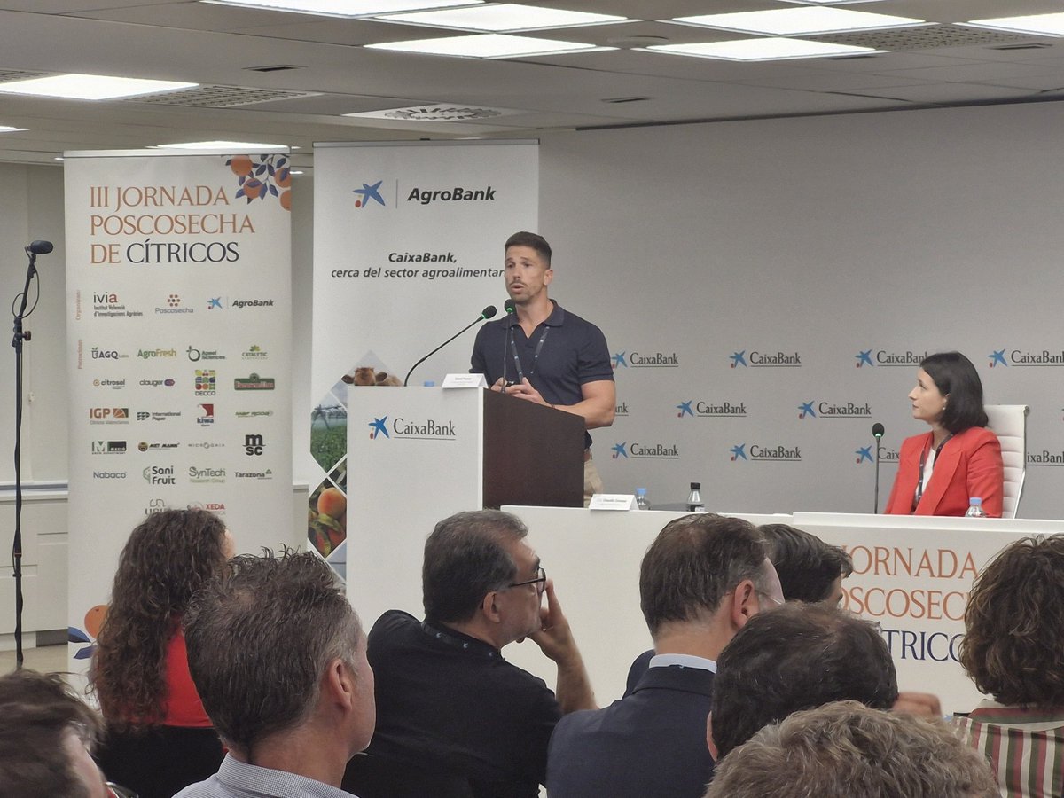 <a href="/citrosol_com/">CITROSOL</a> <a href="/IntlPaperCo/">International Paper</a> ✅️Soluciones postcosecha para potenciar los cítricos 

🎙🗣 David Ferrer @Agrofreshworld 

#poscosecha #postcosecha #postharvest 

Preguntas utilizando el hashtag #jornadaposcosecha24