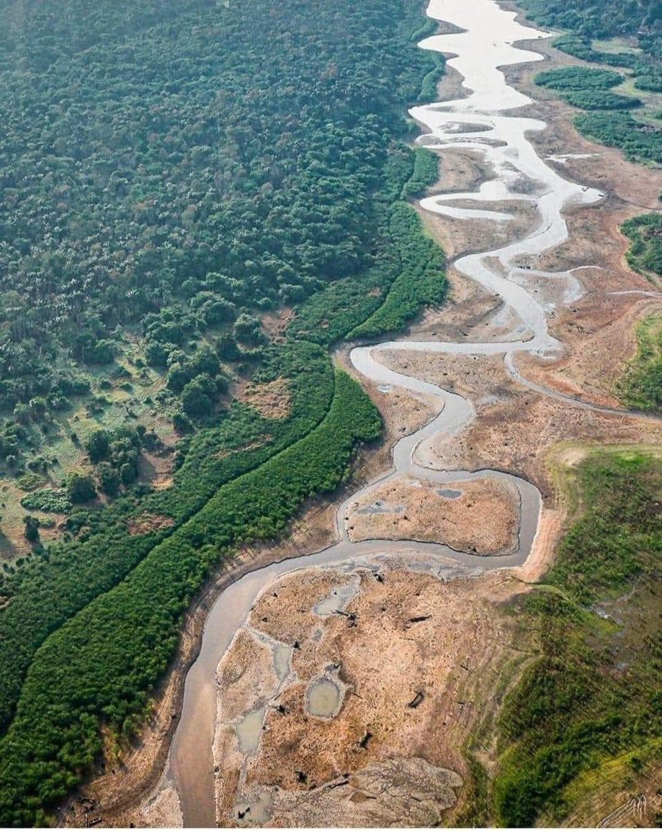 The Amazon biome that produces 20% of the world's oxygen. However, it is now facing drought, fires and reduced rainfall and river flow as never before. We are working from the ground up to combat this crisis. <a href="/elonmusk/">Elon Musk</a> <a href="/JeffBezos/">Jeff Bezos</a> <a href="/BillGates/">Bill Gates</a> <a href="/BBCNews/">BBC News (UK)</a> <a href="/nytimes/">The New York Times</a>