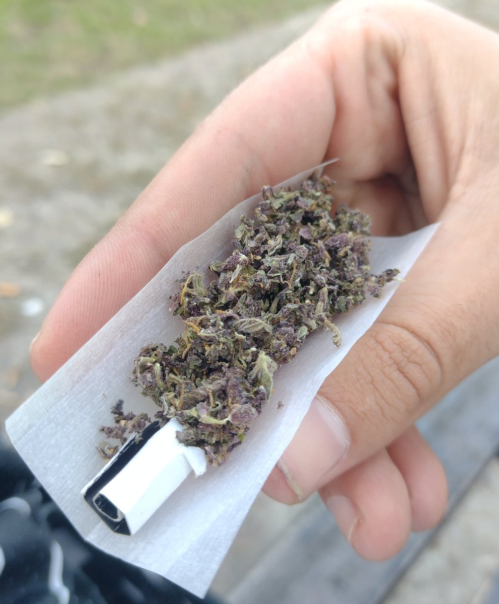 Elparaguayo1231's tweet image. A mal tiempo buenas flores