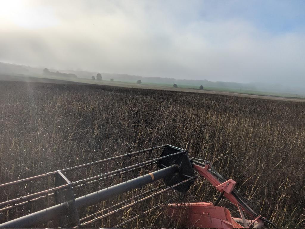vaderbogger's tweet photo. Asking for a friend!
How wet is too wet for #Tundra #winterbeans https://t.co/UWsVk2p9bM