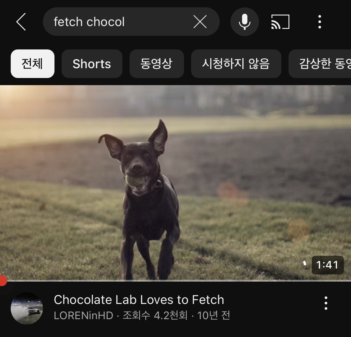 이거 모으다가 발견한 낯선 초코•••
날 닮은 너 너 누구야~