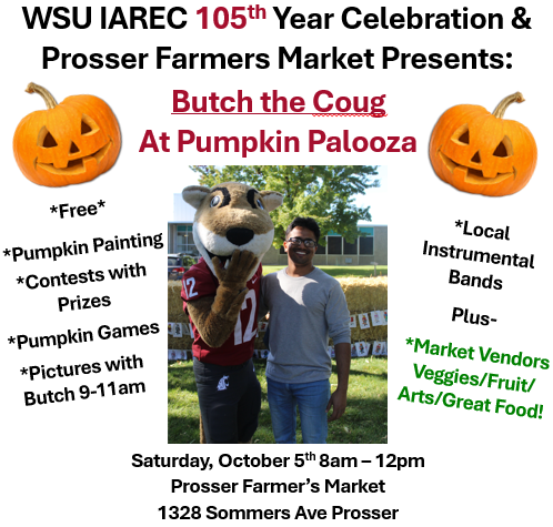 We're going to be at the Prosser Farmers Market on Saturday, Oct. 5! Stop by for free pumpkins, pumpkin painting, games and prizes, and photos with Butch T. Cougar! #WSU #GoCougs