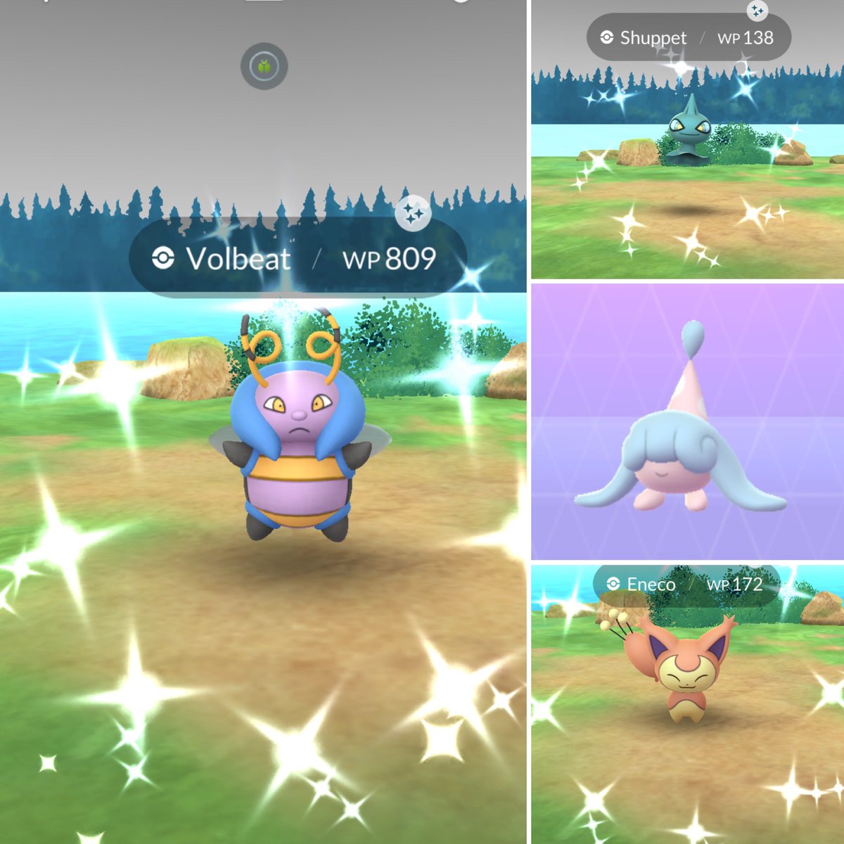 KathaBlueSky's tweet image. Moin Moin ⚓️

💚🩵✨🧡✨💜✨🧡✨🩵💚

Last Day’s … #ShinyPokemon and #NewPokemon  #PokemonGO  :o)