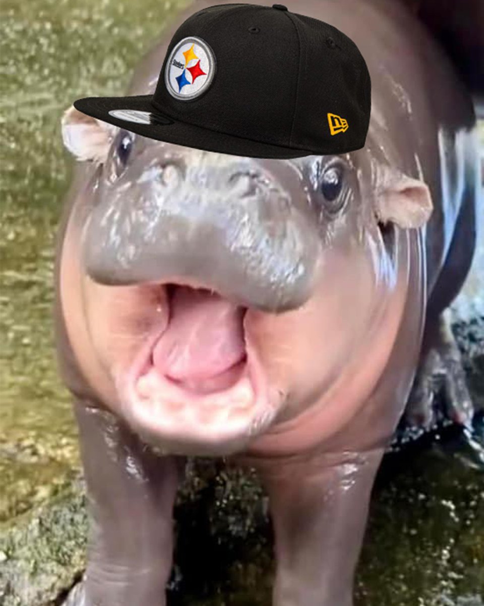 Pittsburgh Steelers tweet media