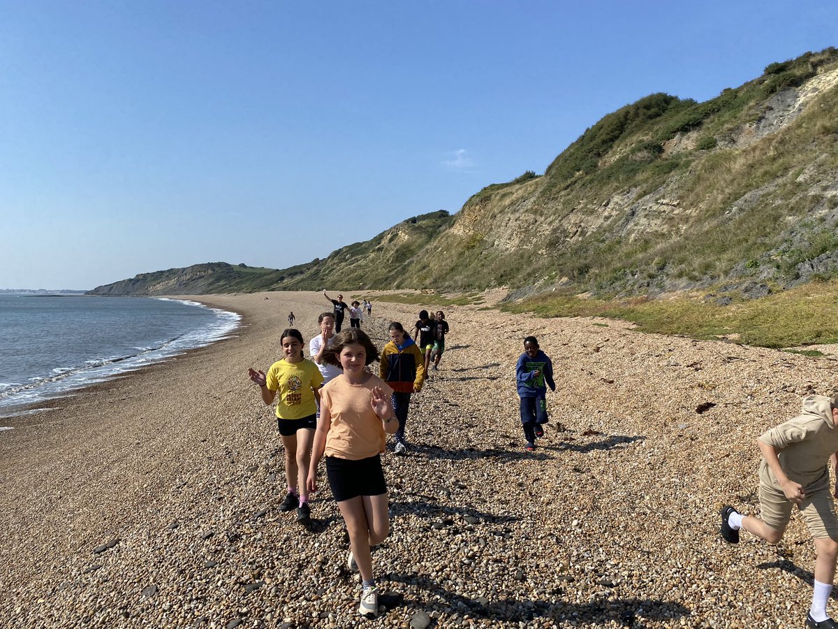 Fossil hinting on the beach.