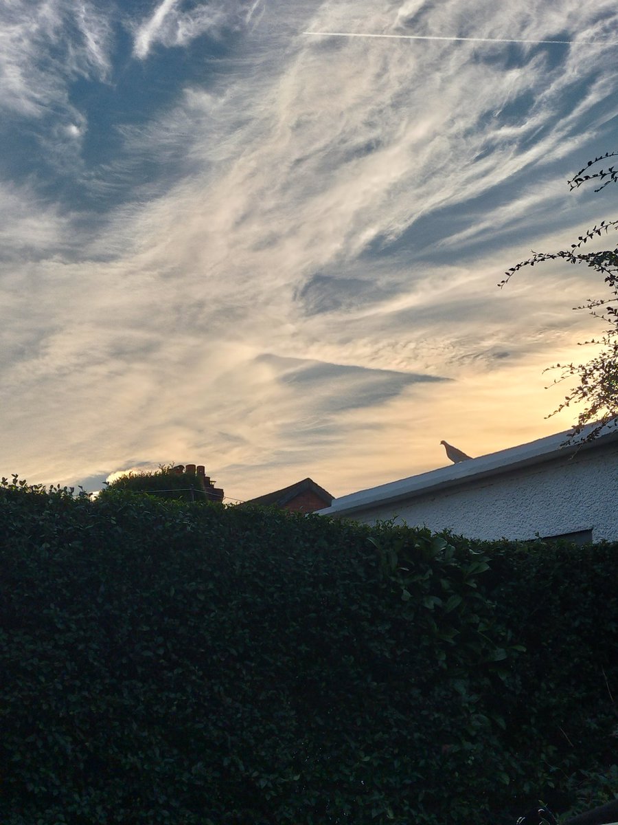 I hate when the sky box doesn't load on reality