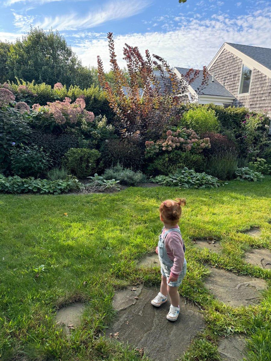 What a lush summer it's been for Northeast gardens. Granddaughter feeling the awe.