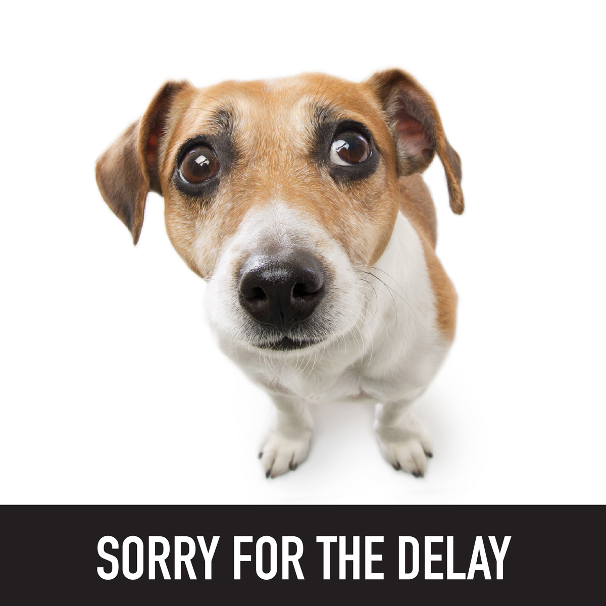 David Saim Loan Originator NMLS 1711150 tweet media