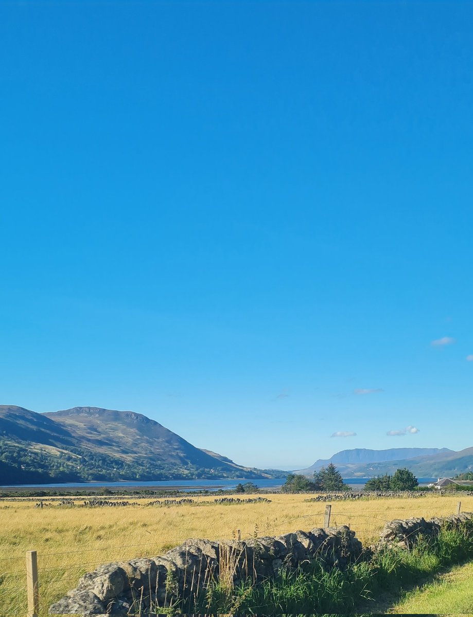 Lisa Maclean tweet media