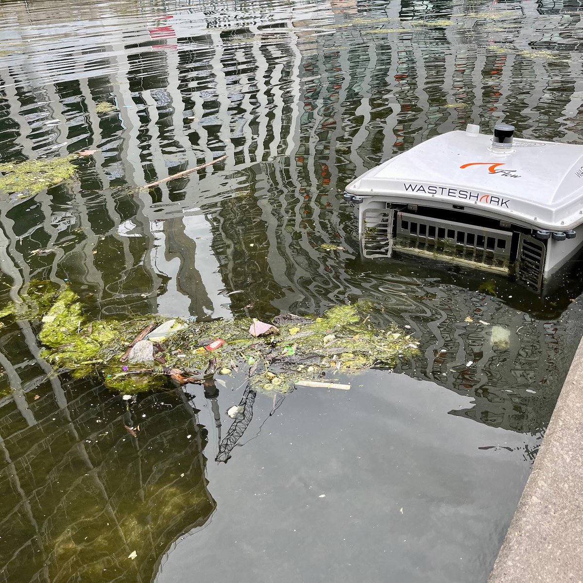 Toronto WasteSharks tweet media