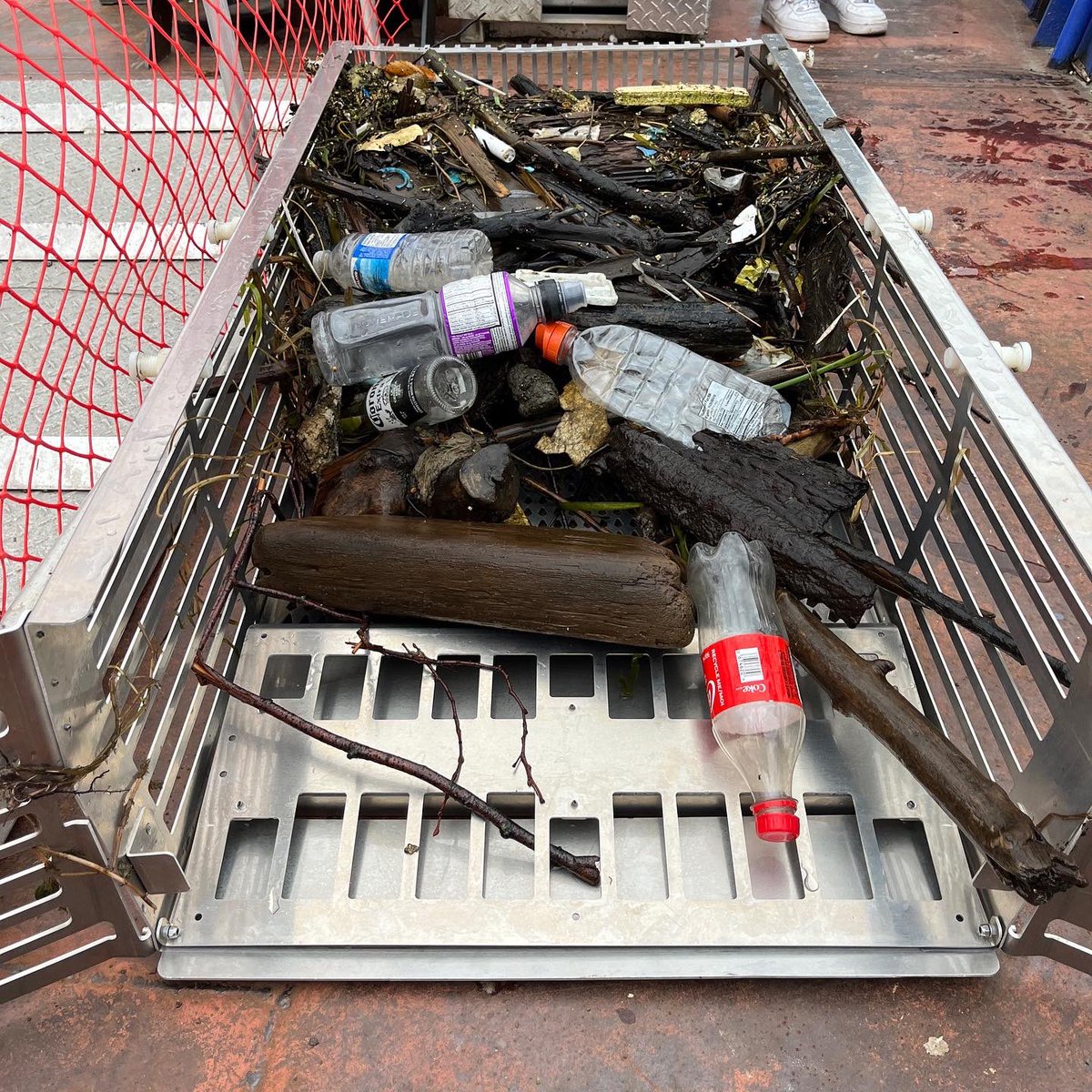 Toronto WasteSharks tweet media