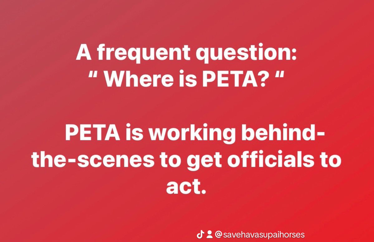 #havasupai #havasufalls #havasupaiindianreservation