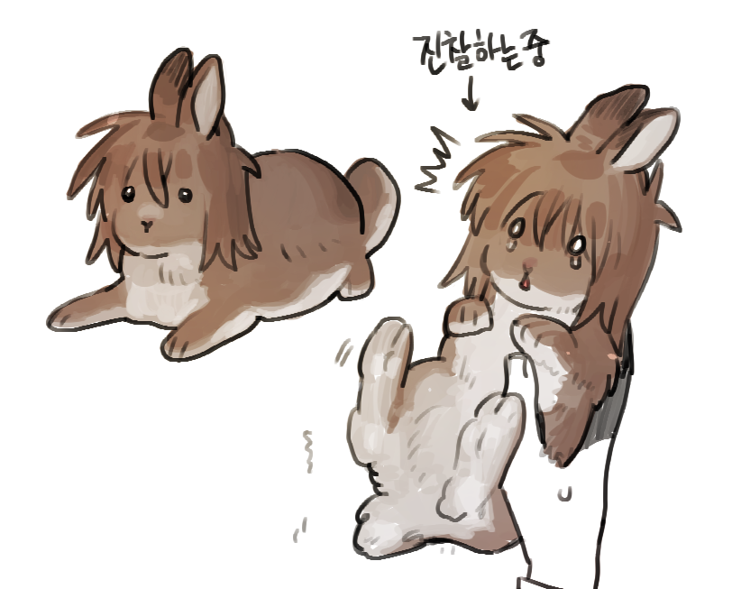 da1_sae_rkgk's tweet photo. 톸이 https://t.co/XwHRXs0o0V