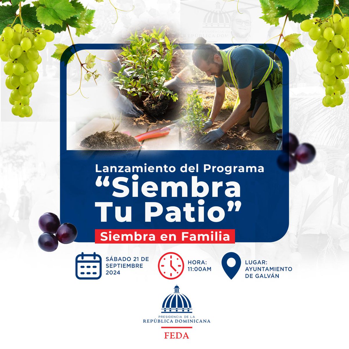 hecmiliogalvan's tweet photo. 1 / Peinemos juntos Bahoruco🍇
Estaremos visitando la provincia Bahoruco con 11 actividades para llevar apoyo y soluciones a todos los agricultores y ganaderos de las provincia Bahoruco, Neyba Capital de la Uva https://t.co/J0u4O8lrrc