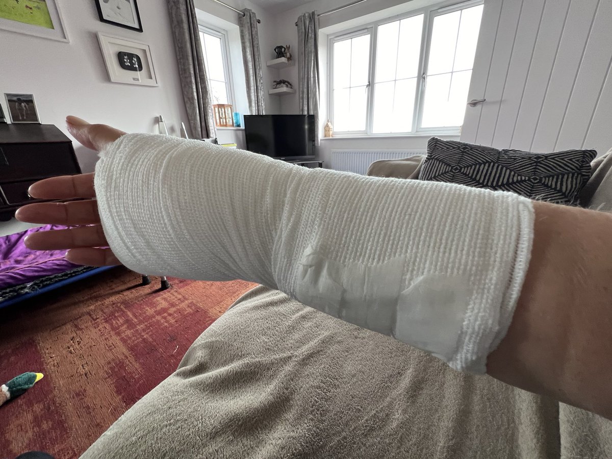 Bonnie & 🌈Holly Greyhound🌈💔😭 tweet media