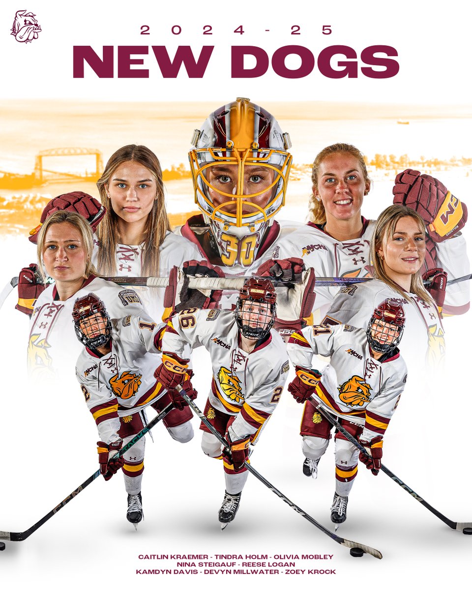 UMD Women's Hockey tweet media