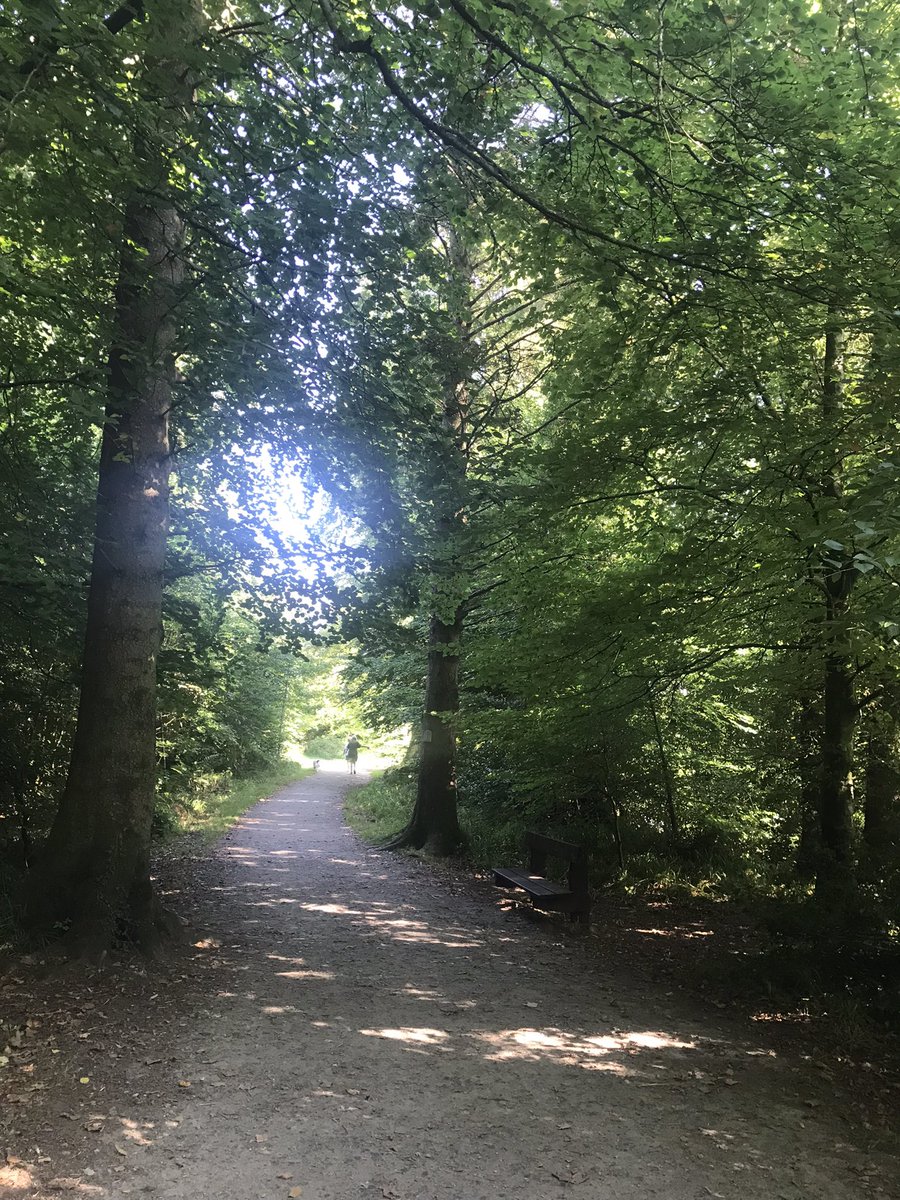 Irish Tree Explorers Network (@iten_ucc) on Twitter photo ITEN on tour at Drumboe woods, Co. Donegal! Thank you to the wonderful Brian McGowan for showing us round <a href="/Researchirel/">Research Ireland</a> <a href="/UccTrees/">UCC Arboretum</a> ITEN on tour at Drumboe woods, Co. Donegal! Thank you to the wonderful Brian McGowan for showing us round <a href="/Researchirel/">Research Ireland</a> <a href="/UccTrees/">UCC Arboretum</a>