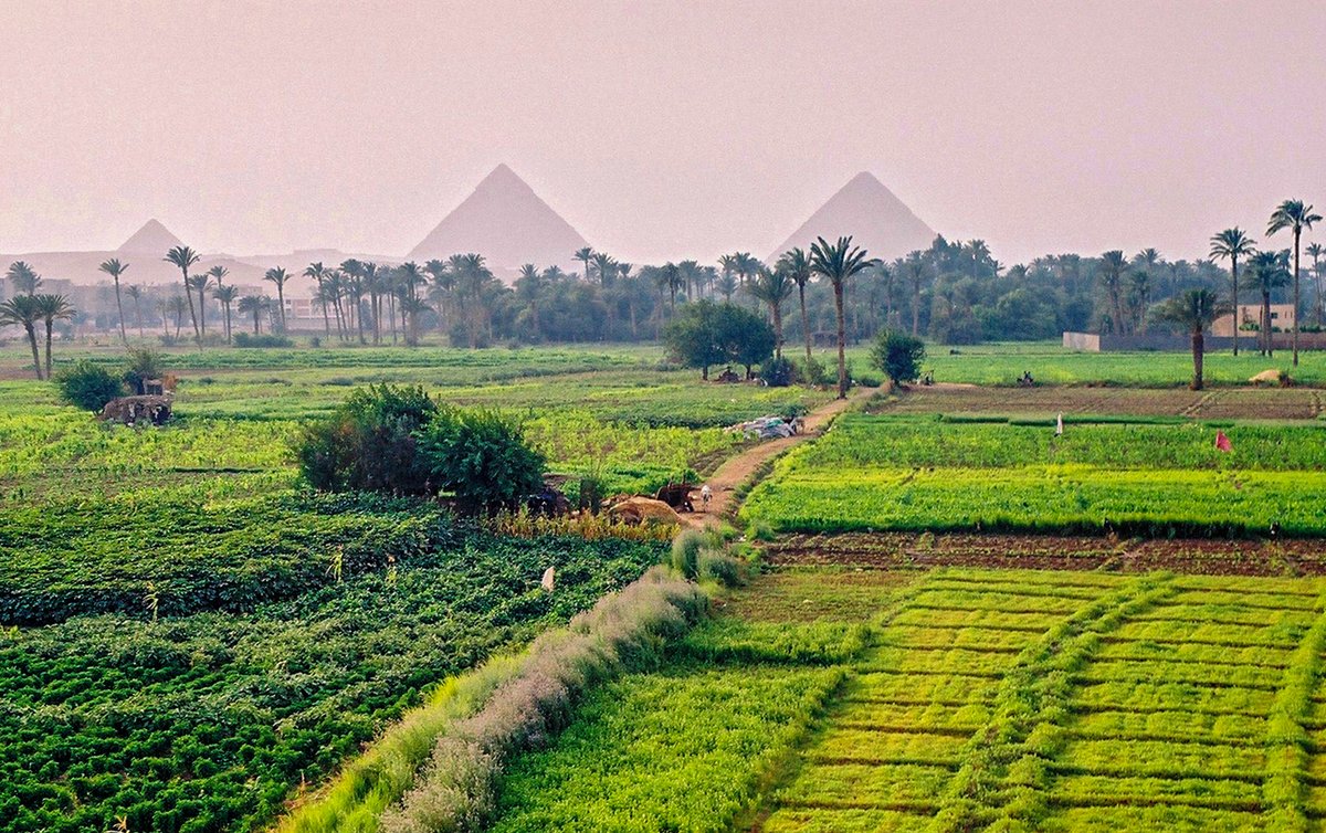 Demain dans vos agendas : Egypte, Afrique, IT, Arabie saoudite, automobile dlvr.it/TDRVL6
