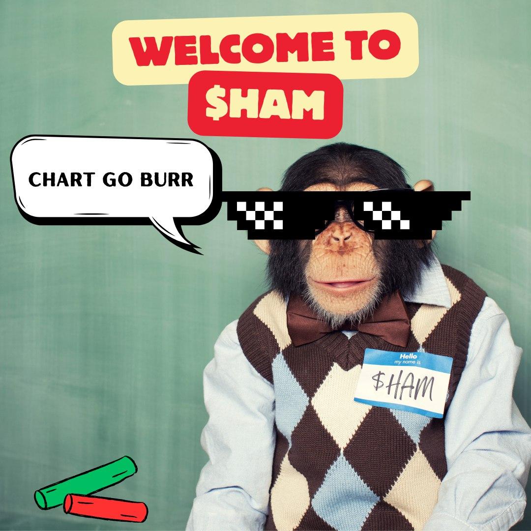 <a href="/rizlfg/">Riz</a> $HAM didn't make it to the moon but we're taking him there now 🚀📷#astrochimp
<a href="/FirstHamOnSol/">HamOnSol</a>