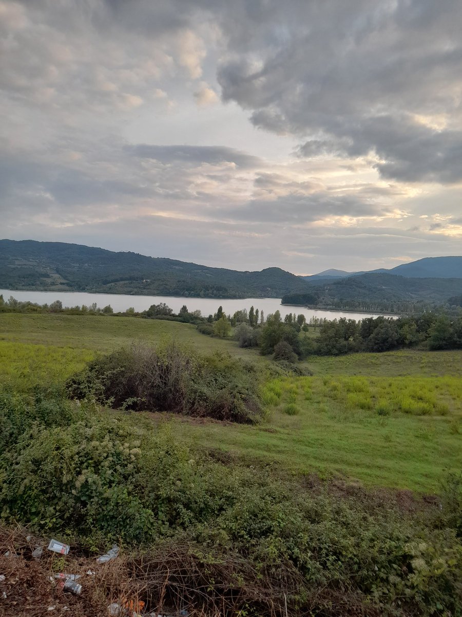 Francesco (@frances10419470) on Twitter photo 