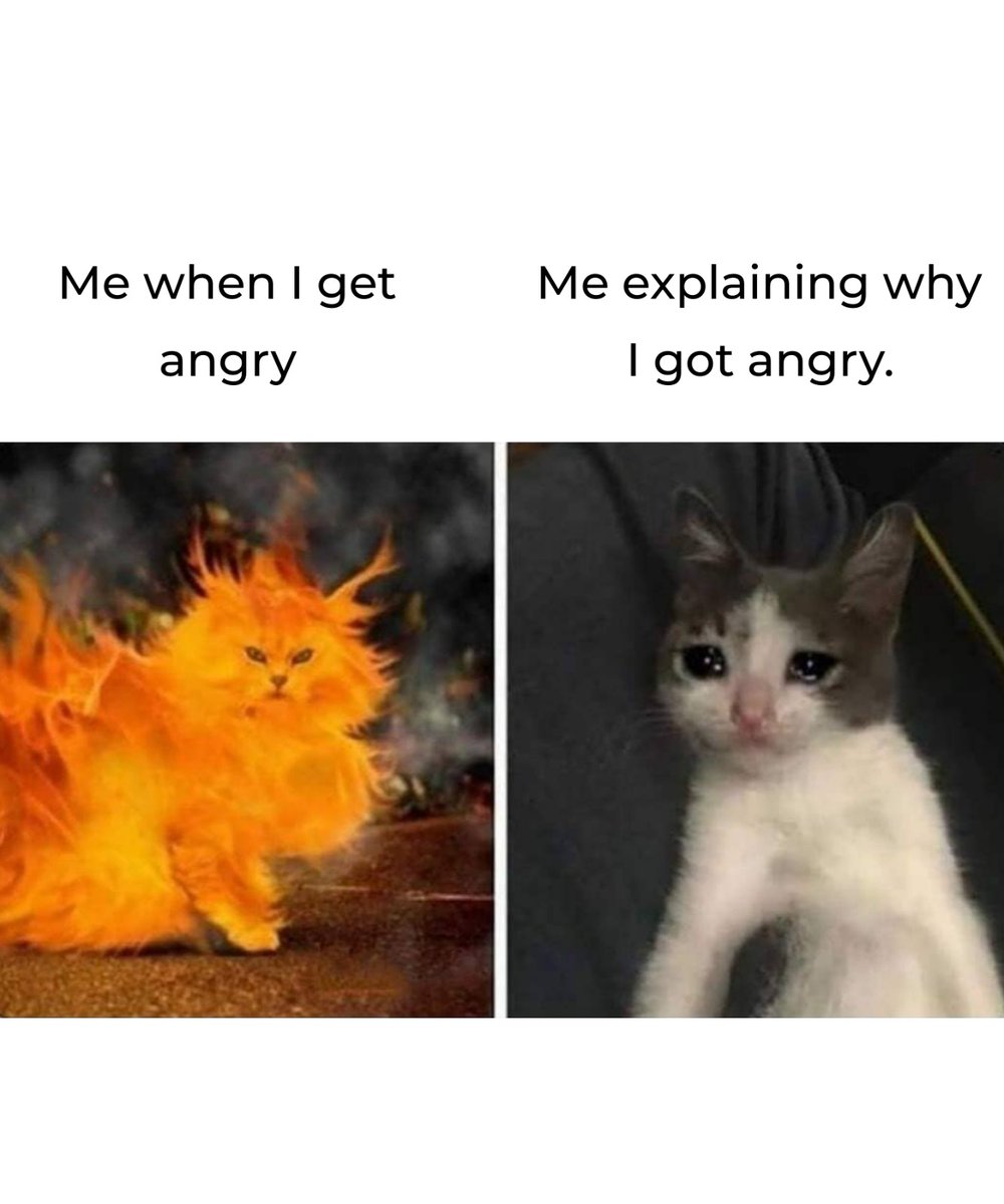 Monica | EdTech Tips (@monicaedtech) on Twitter photo 