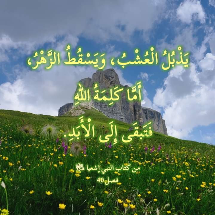 مريم (@ashaksllum) on Twitter photo 