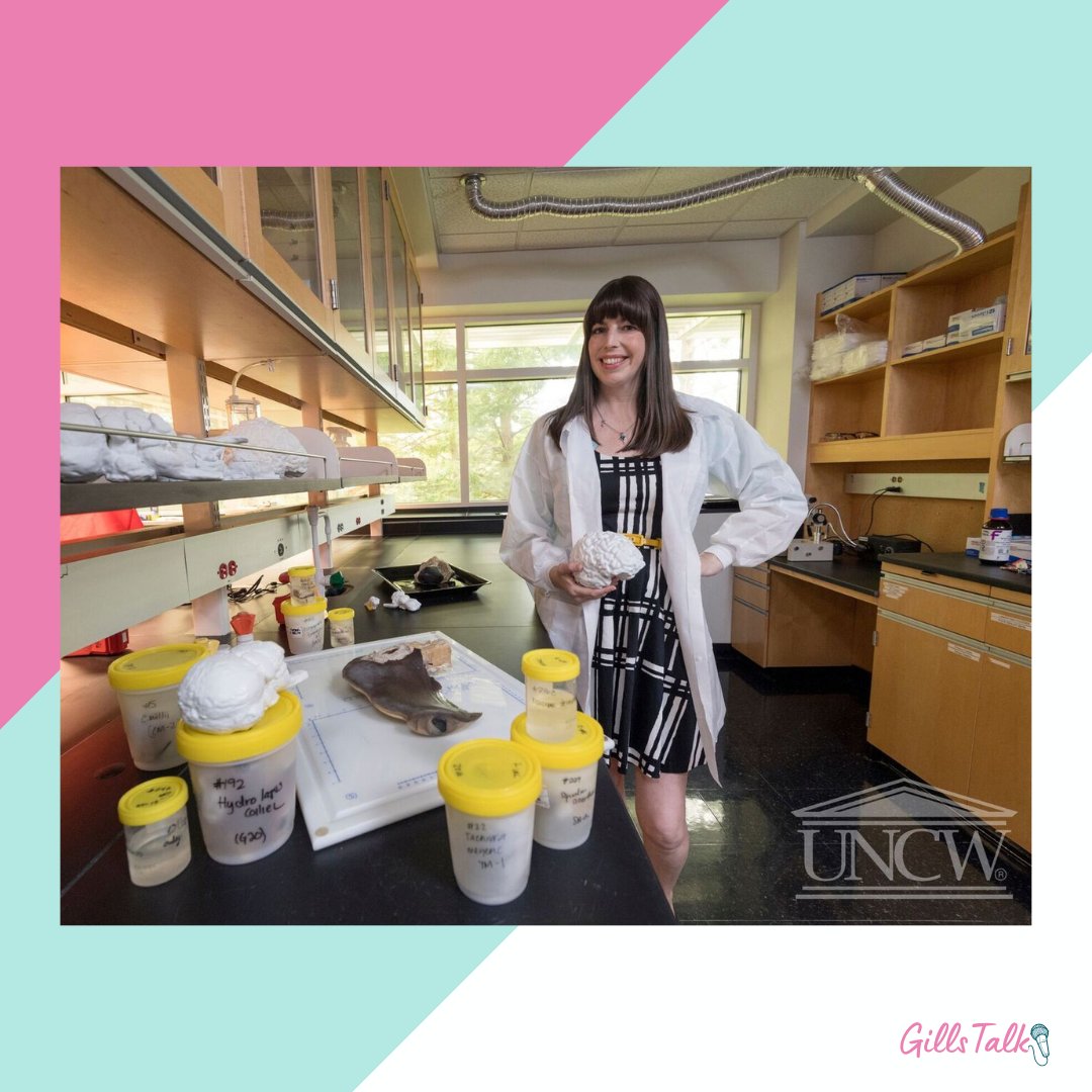 Gills Club (@gillsclub) on Twitter photo #DidYouKnow that <a href="/ProfSharkBrain/">Kara Yopak</a> and <a href="/YopakZoMBiELab/">Kara Yopak</a> have seen 180 species of skates, rays, sharks, and chimera brains? Learn about what she and her Zombie Lab are learning about these brain specimens on the Gills Talk podcast! #DidYouKnow that <a href="/ProfSharkBrain/">Kara Yopak</a> and <a href="/YopakZoMBiELab/">Kara Yopak</a> have seen 180 species of skates, rays, sharks, and chimera brains? Learn about what she and her Zombie Lab are learning about these brain specimens on the Gills Talk podcast!