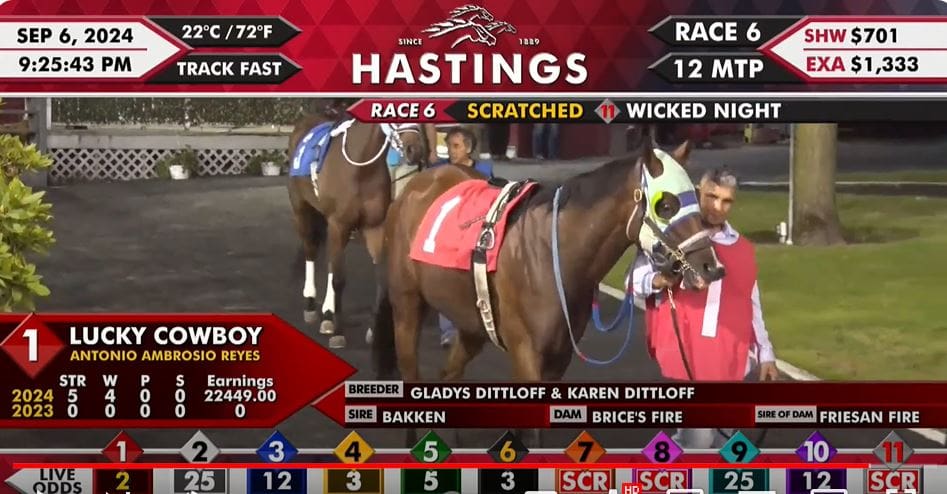 .@vanhumane:  Lucky Cowboy the horse euthanized after being injured in Vancouver race dlvr.it/TDRWQ7