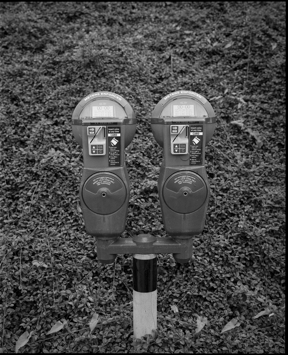 thinktk's tweet image. Meters in the wild
📷 GW670III, @ILFORDPhoto Delta 400 
#believeinfilm