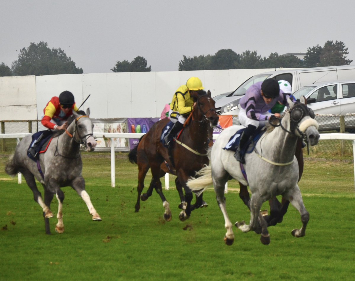 ownersgroupuk's tweet image. Brilliant day for First Folio as he returned to form to win @GTYarmouthRaces for the 3rd time. Made all, never headed under an uber-confident Oisin McSweeney. Well done to Becky and Steph for winning Best Turned Out! We hope he can win again this autumn! #firstfolio #dave #OG
