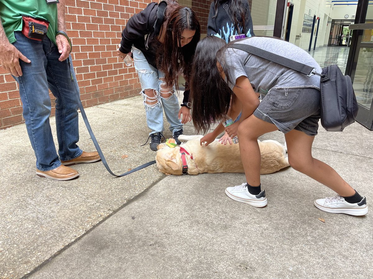 Christina Kiedrow tweet media