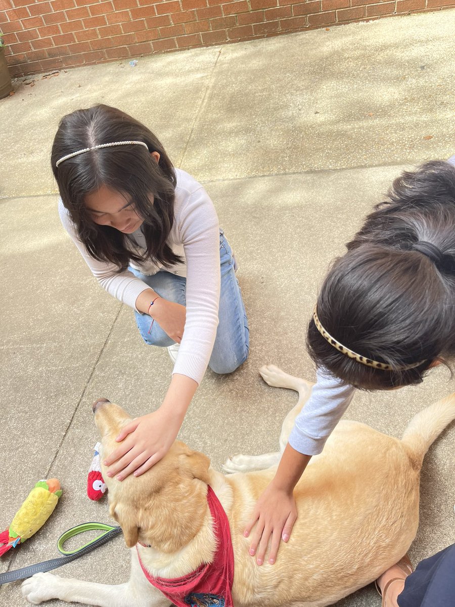 Happy 8th birthday to Ryker, our SGMS therapy dog. We are so happy to host and celebrate you on your special day.