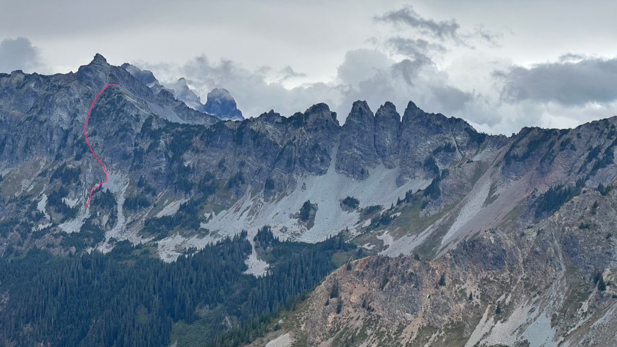 Stephen Johnson tweet media