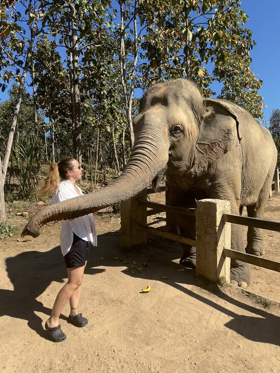 Ceri Godden🌻 tweet media