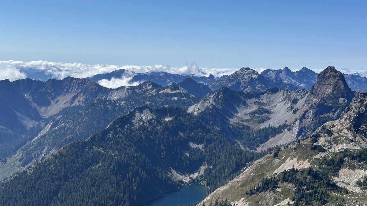 Stephen Johnson tweet media